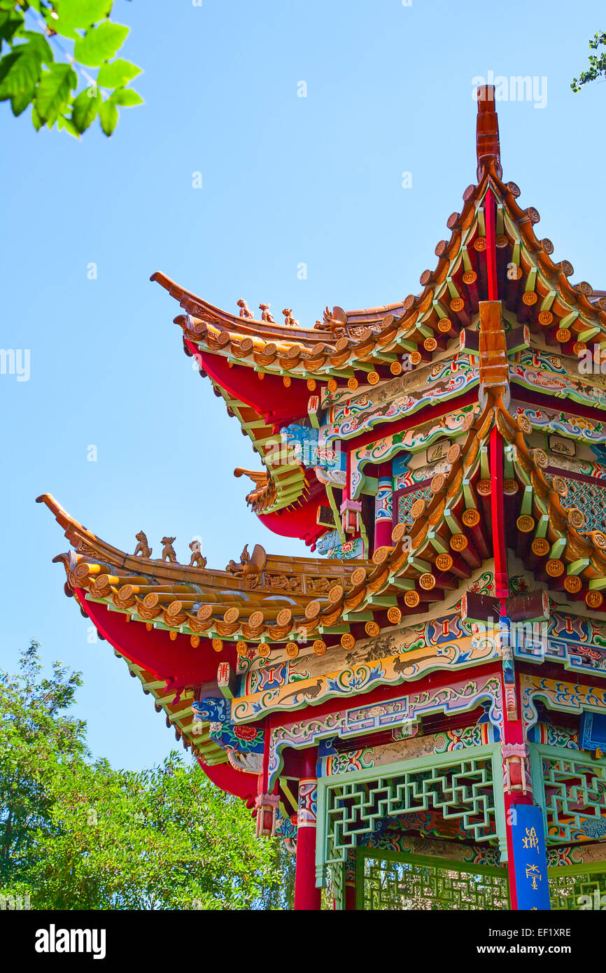 Goldener peking bambus Fotos und Bildmaterial in hoher Auflösung Alamy