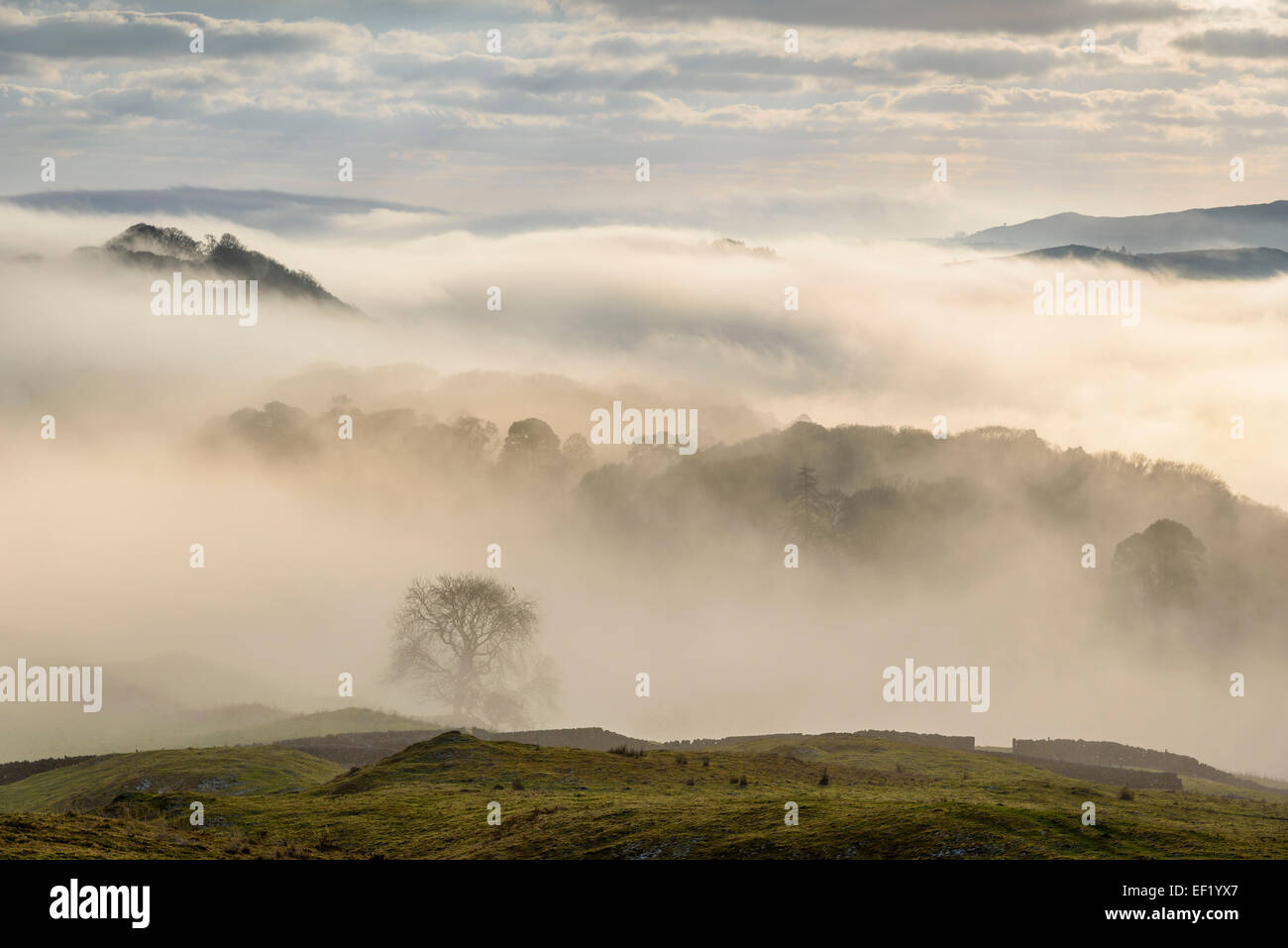 Nebel & niedrige Wolkendecke über Doon von Castramont und die Flotte Tal, Gatehouse of Fleet, Dumfries & Galloway, Schottland Stockfoto