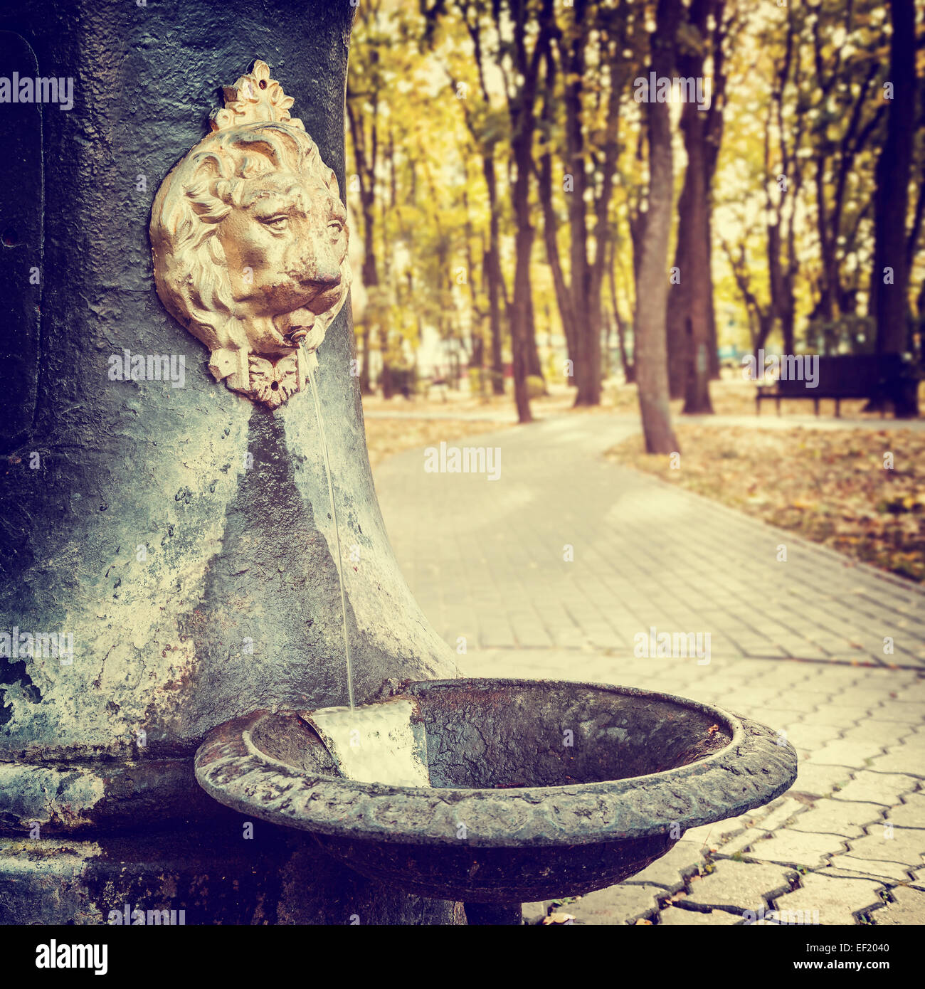 Öffentliche Brunnen im Park in Form eines Löwenkopf mit fließendem Wasser Stockfoto