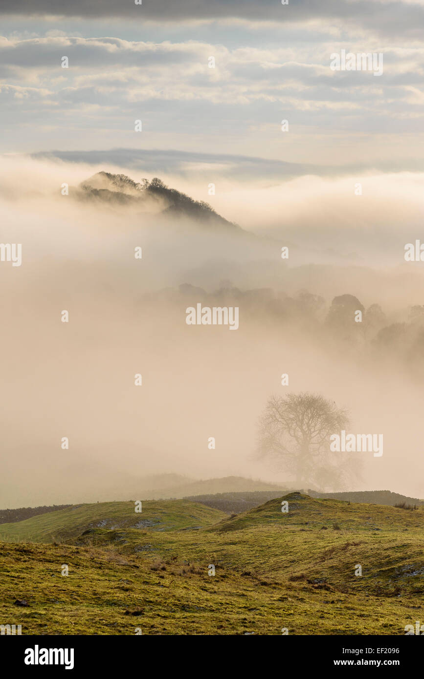 Nebel & niedrige Wolkendecke über Doon von Castramont und die Flotte Tal, Gatehouse of Fleet, Dumfries & Galloway, Schottland Stockfoto