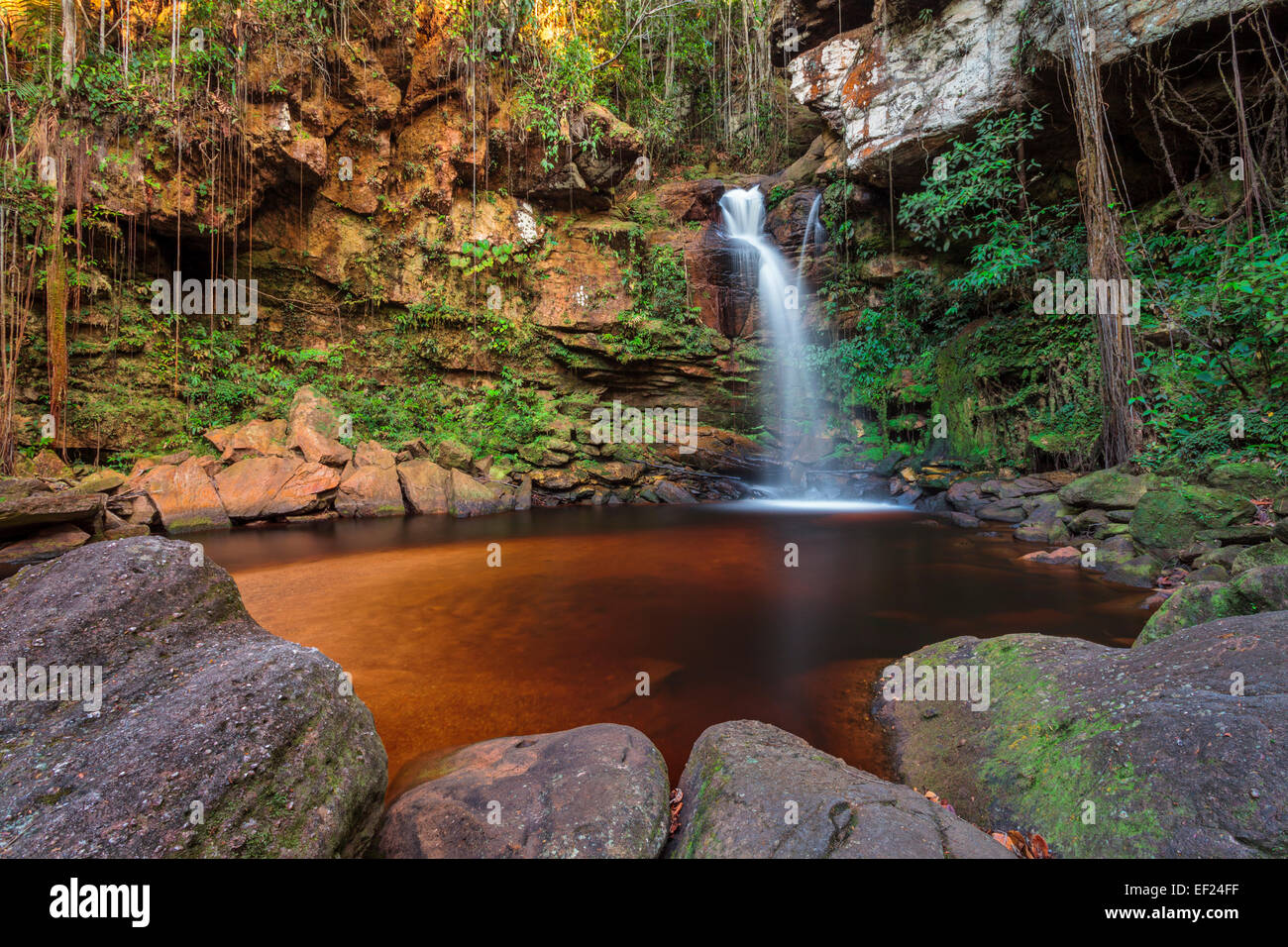 Regenwald Wasserfall, Venezuela. Stockfoto