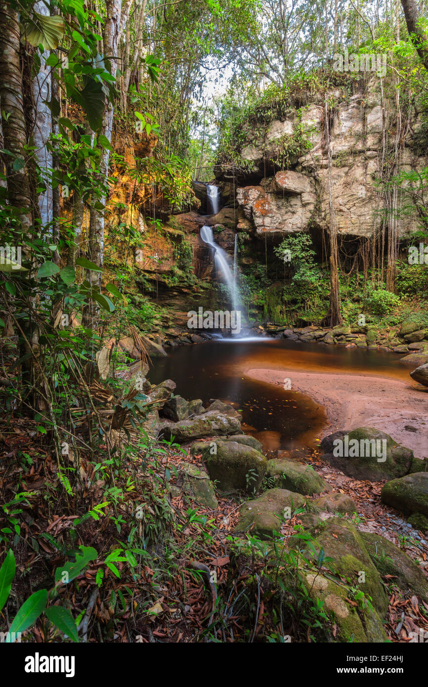 Regenwald Wasserfall, Venezuela. Stockfoto