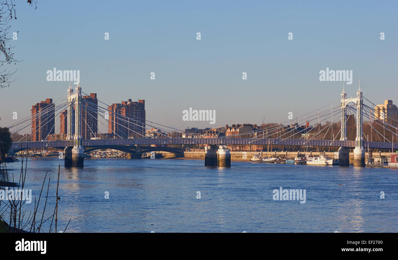 Albert Bridge und der Themse, London, England, Europa. Stockfoto