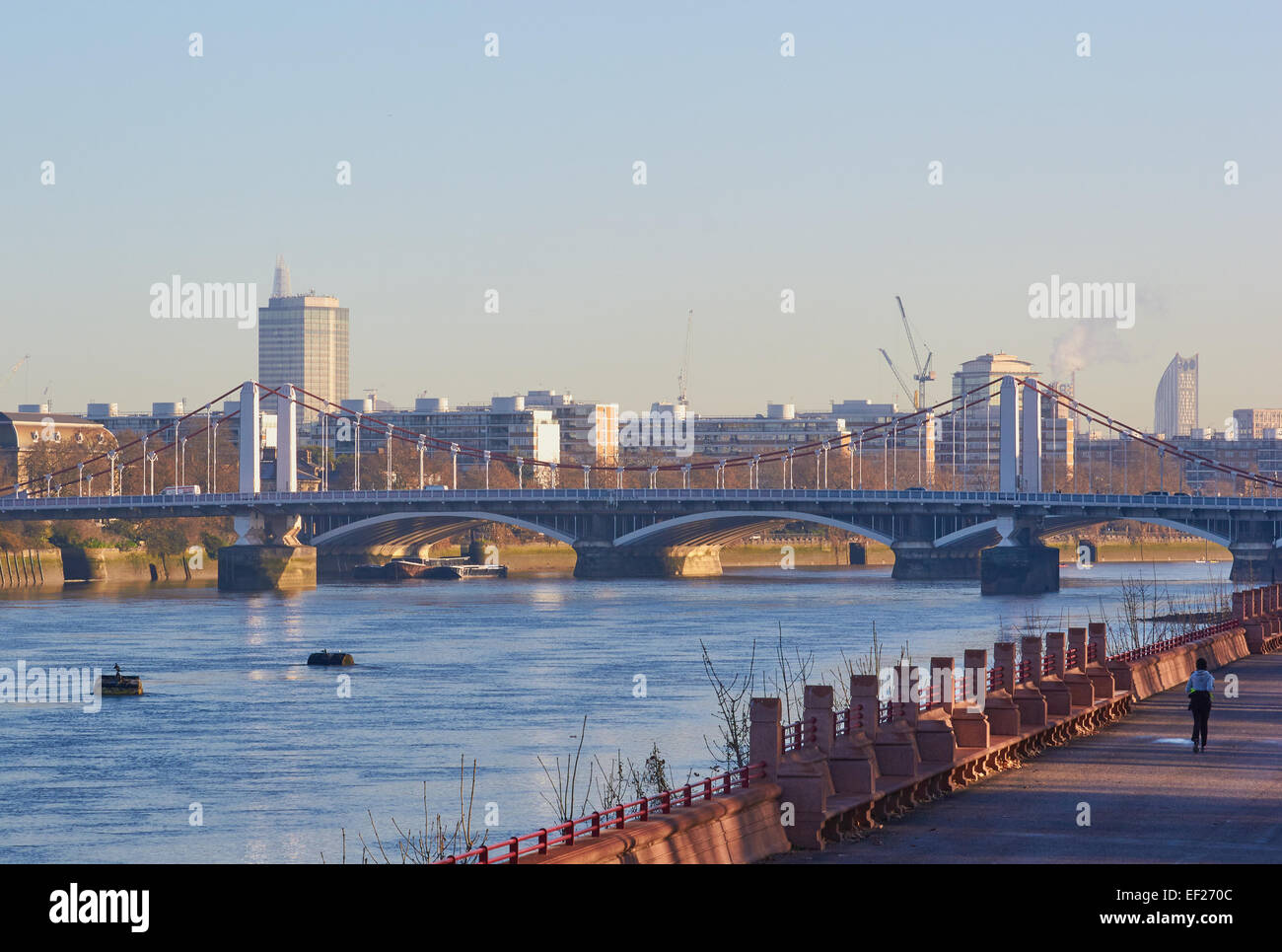 Chelsea Brücke und Fluss Themse von Battersea Park London England Europa Stockfoto