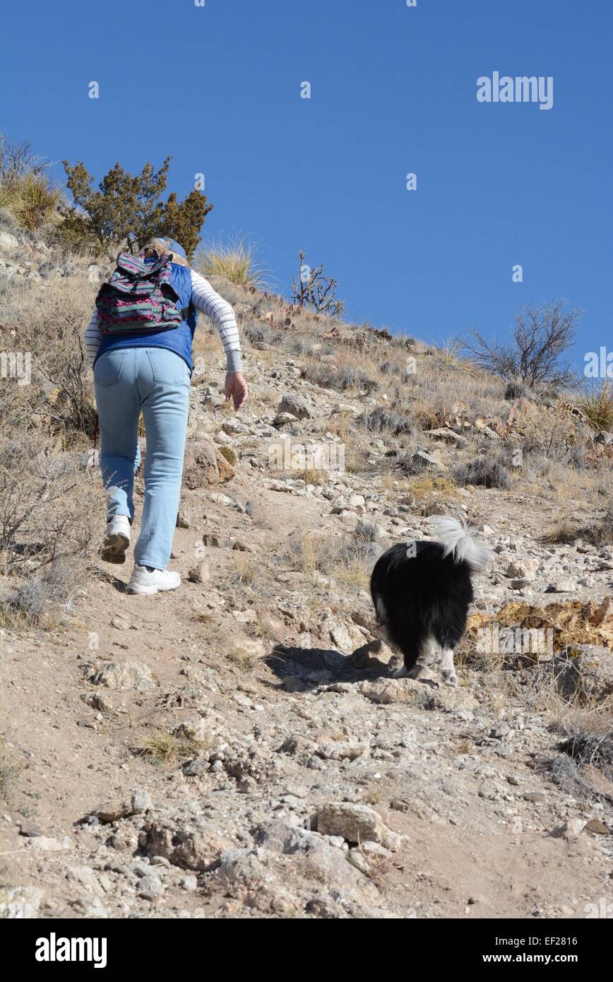 84 Jahre alte Wanderer mit ihrem Border Collie Klettern steile Ort unterwegs.  Sandia Mountains in der Nähe von Albuquerque, New Mexico - USA. Stockfoto
