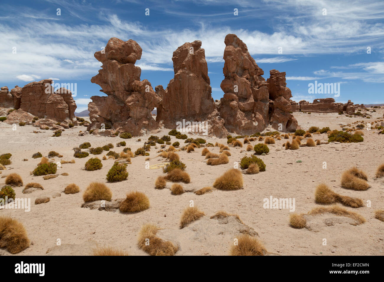 Valle de Las Rocas, bolivianischen Altiplano in Bolivien Südamerika Stockfoto