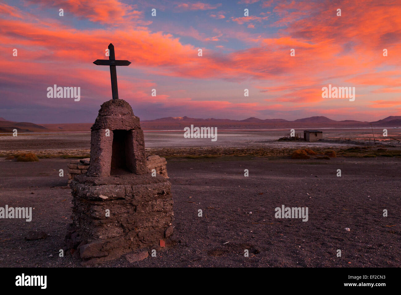 Kleine Strecke kreuzen sich am Laguna Colorada, bolivianischen Altiplano, Bolivien, Südamerika Stockfoto