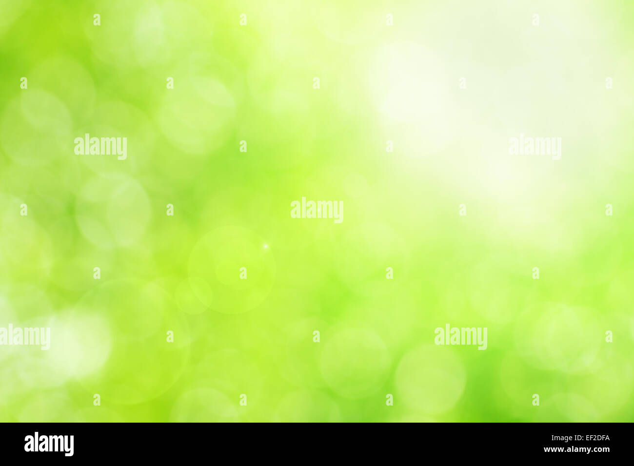Grüne Bokeh Hintergrund Stockfoto