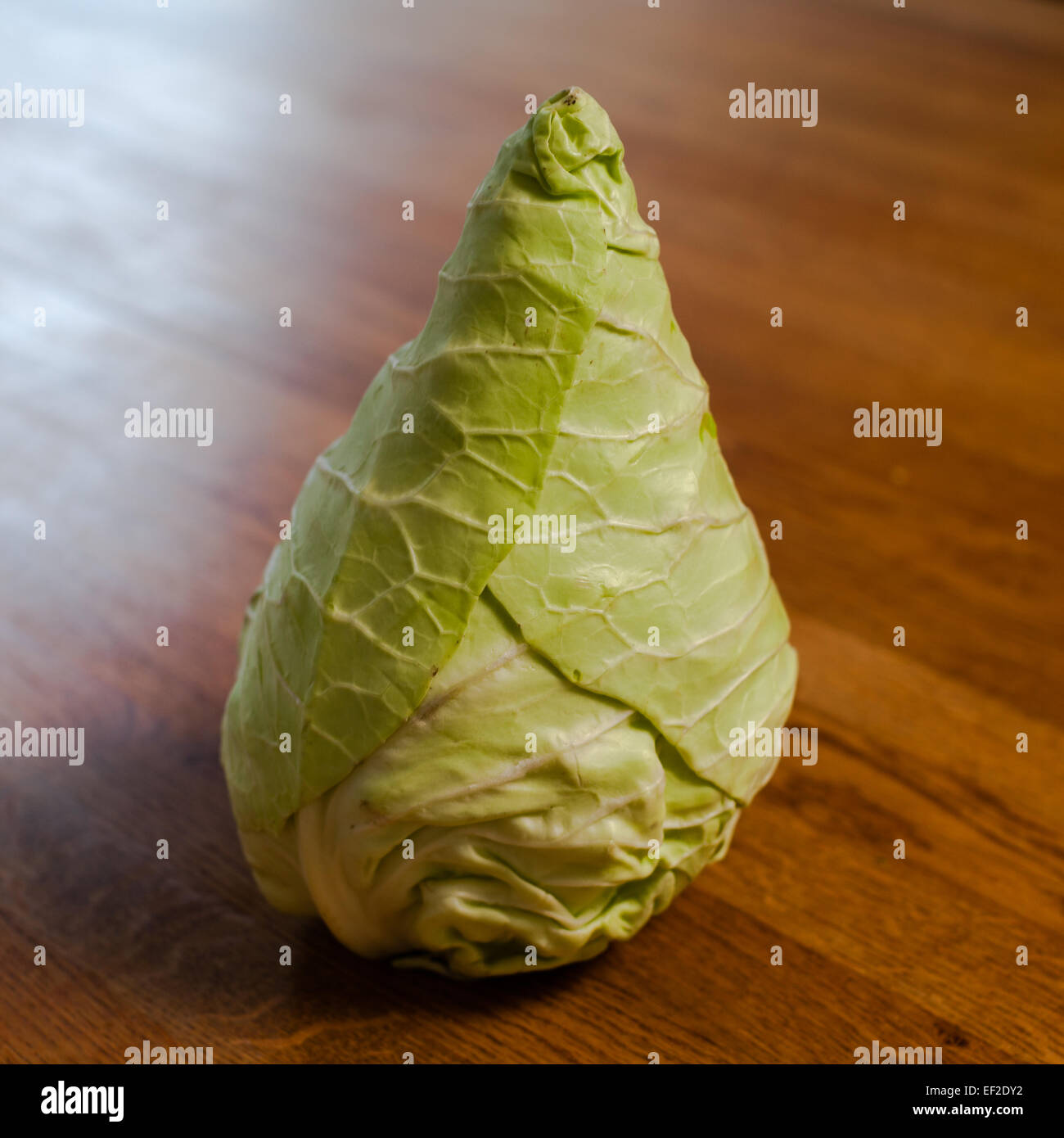 Schätzchen Kohl auf dem Küchentisch Stockfoto
