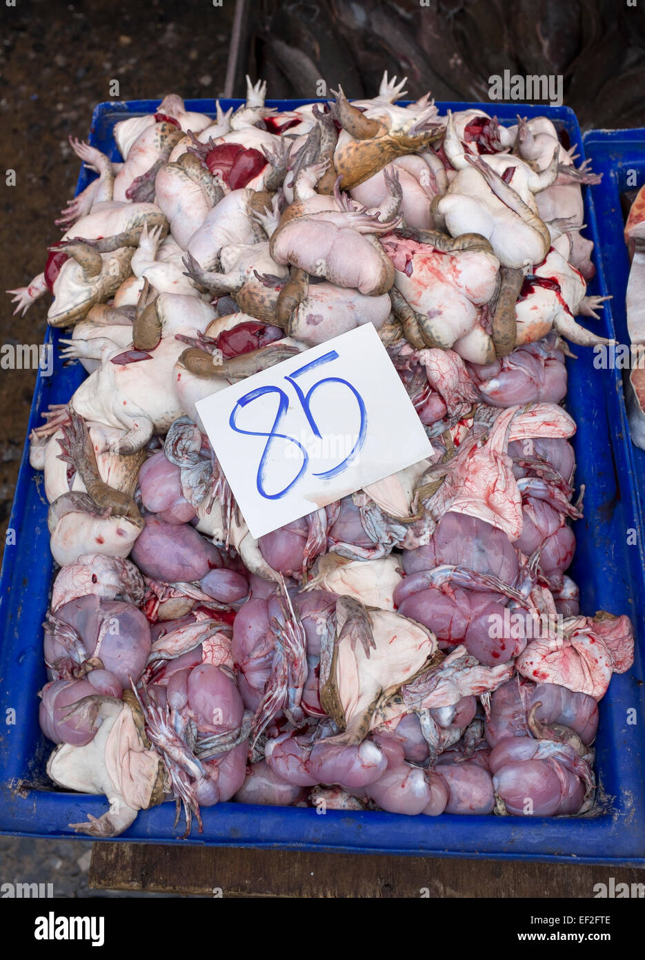 Fett rohe Frösche zum Verkauf an Khlong Toey oder Toei Food Markt Bangkok Stockfoto