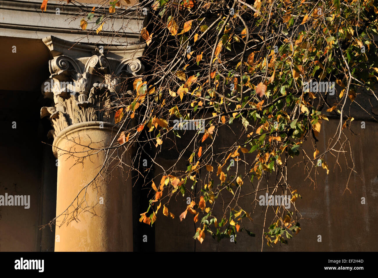 Architekturdetail, Eriwan, Armenien Stockfoto