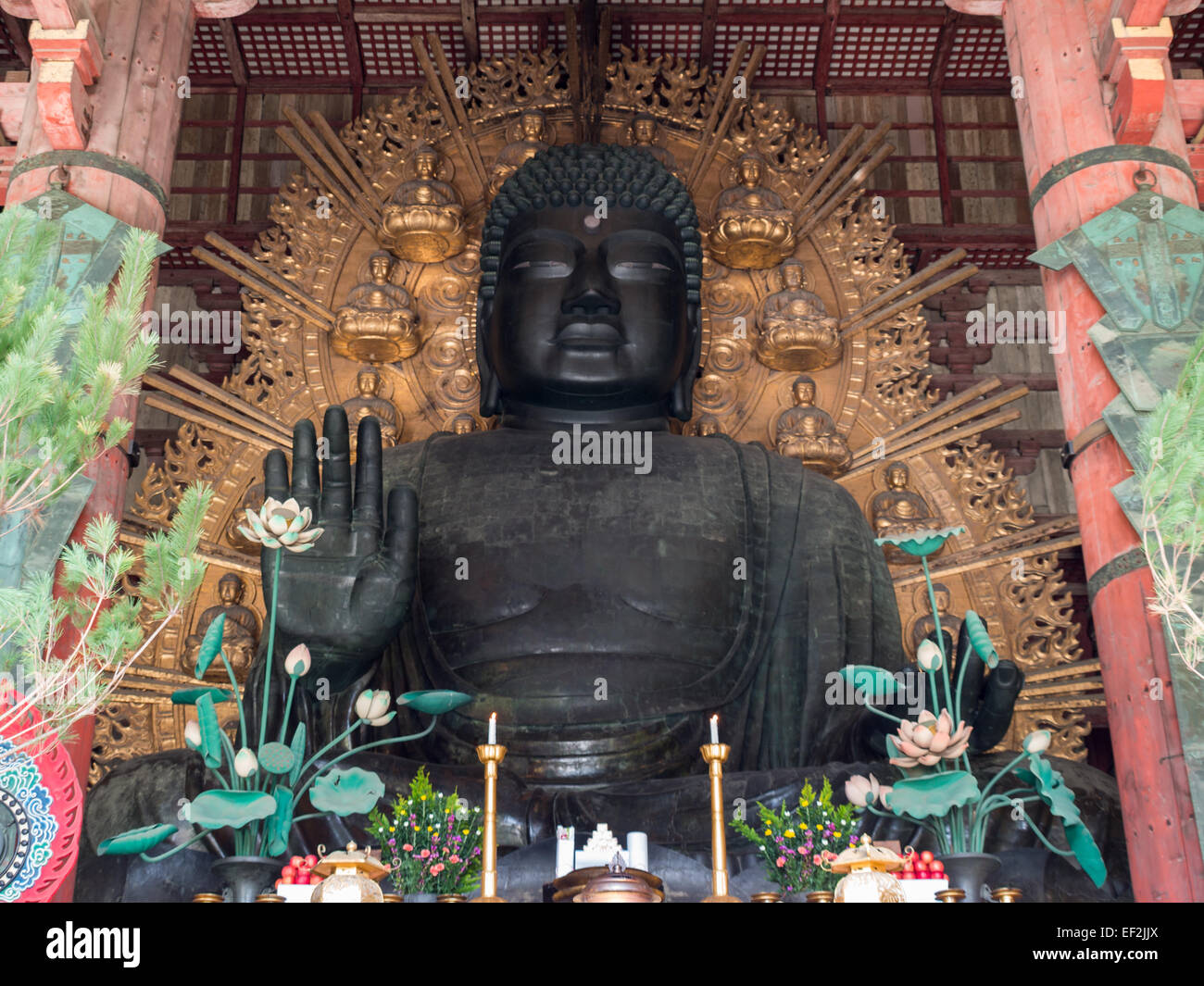 Daibutsu große Buddha-Statue im Tempel Tōdai-Ji in Nara Stockfoto