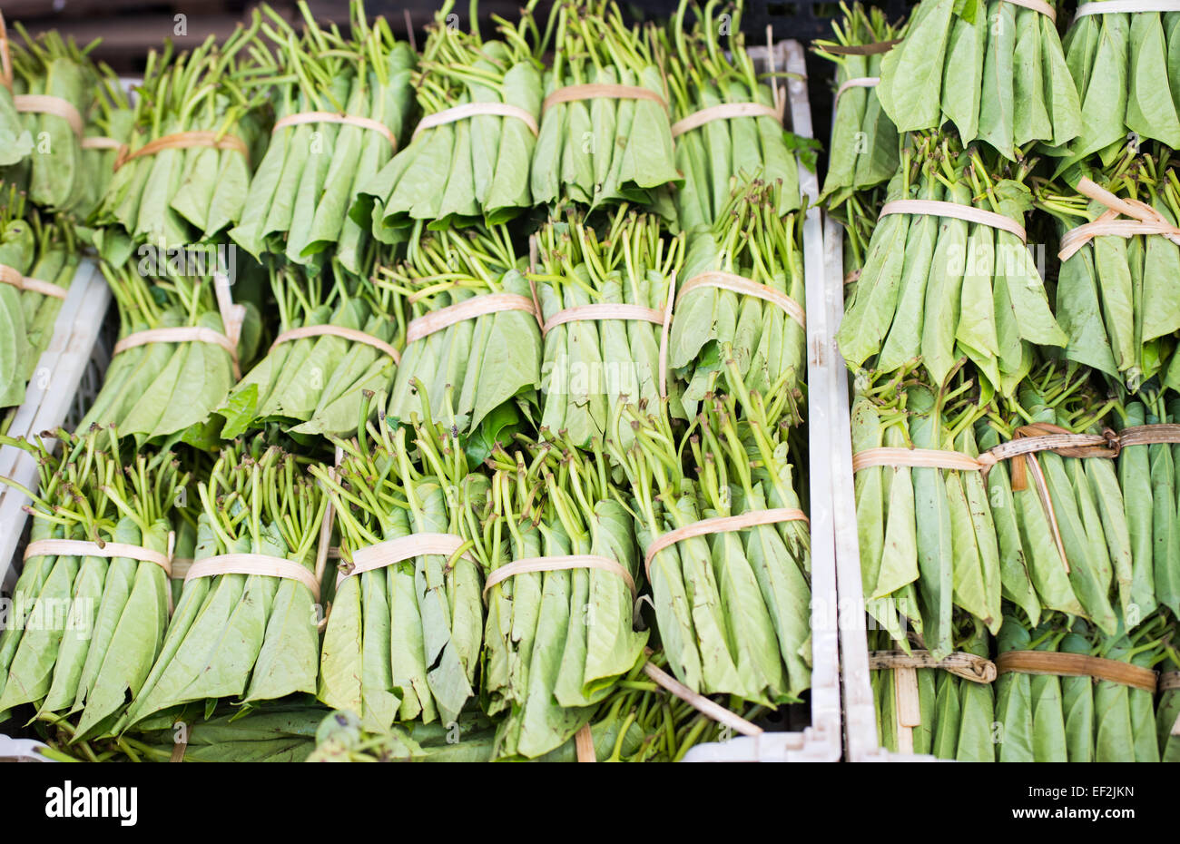 Betel Blätter auf einem Markt in Myeik, Myanmar. Stockfoto