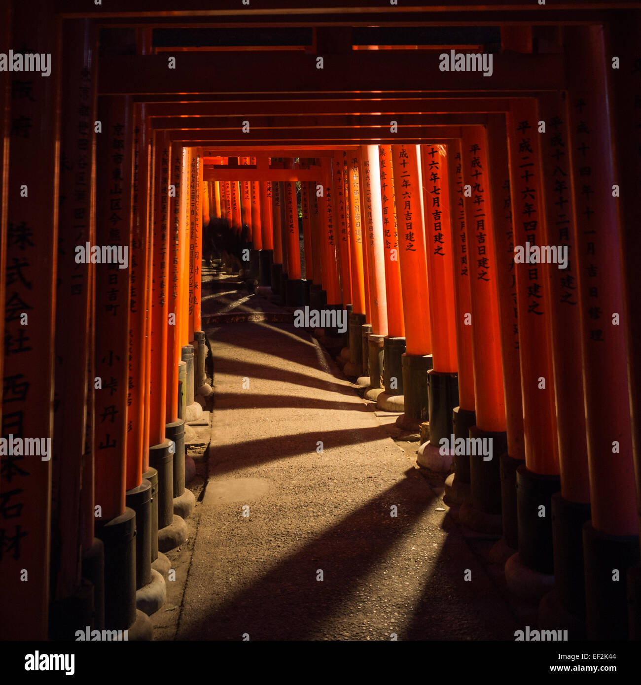 Fushimi-Inari-Taisha Tempel rote Tori Tunnel Schatten in der Nacht Stockfoto