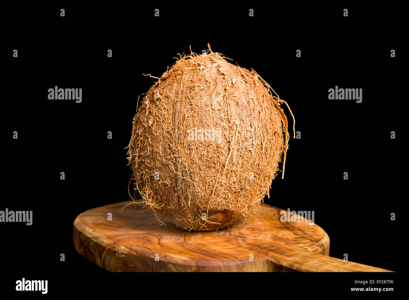 Kokos ist eine bedeutende und wichtige Ernte Stockfoto