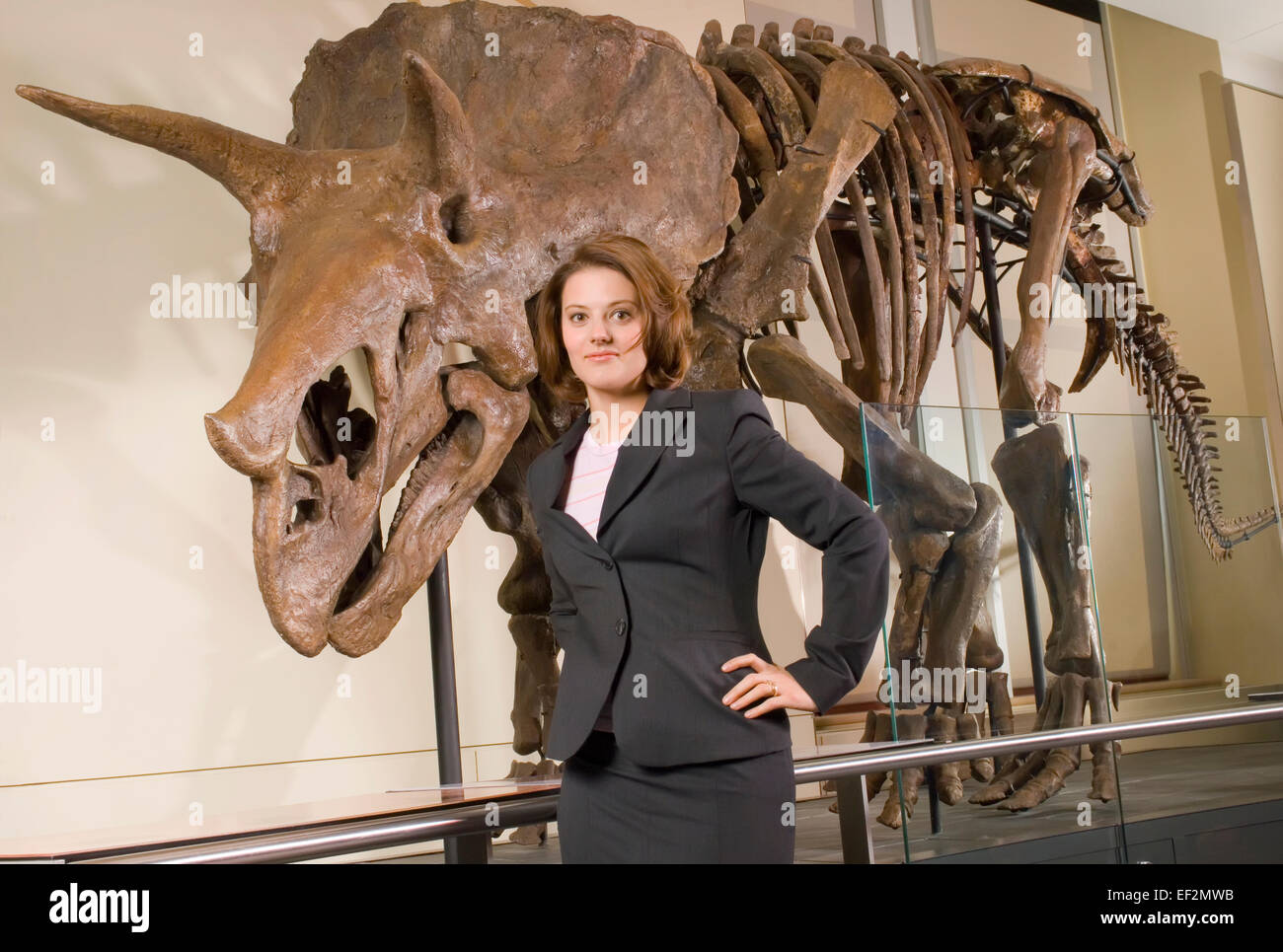 Lehrer stehen im Museum von Triceratops fossilen display Stockfoto