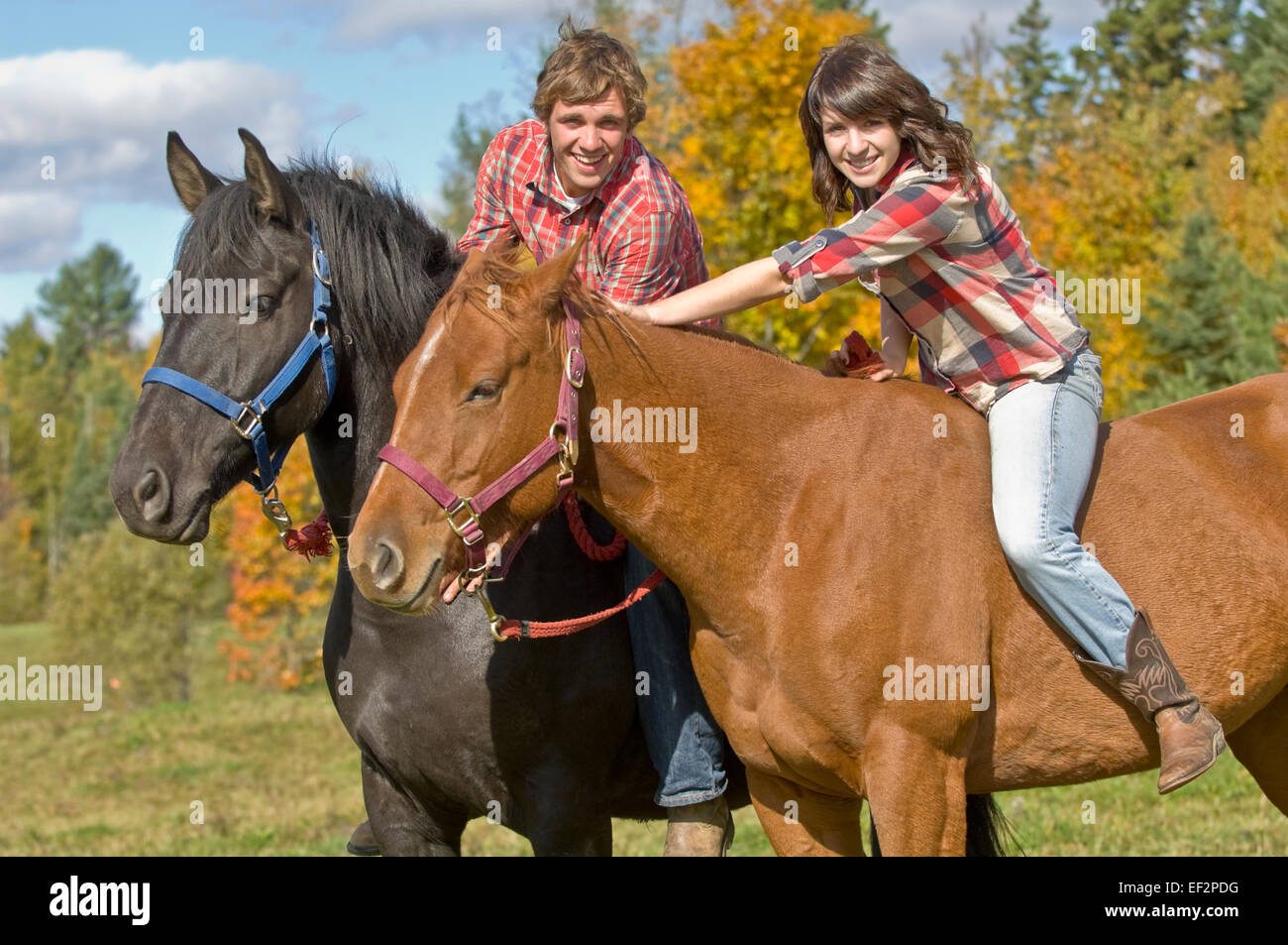 Paar, sitzen auf Pferden Stockfoto