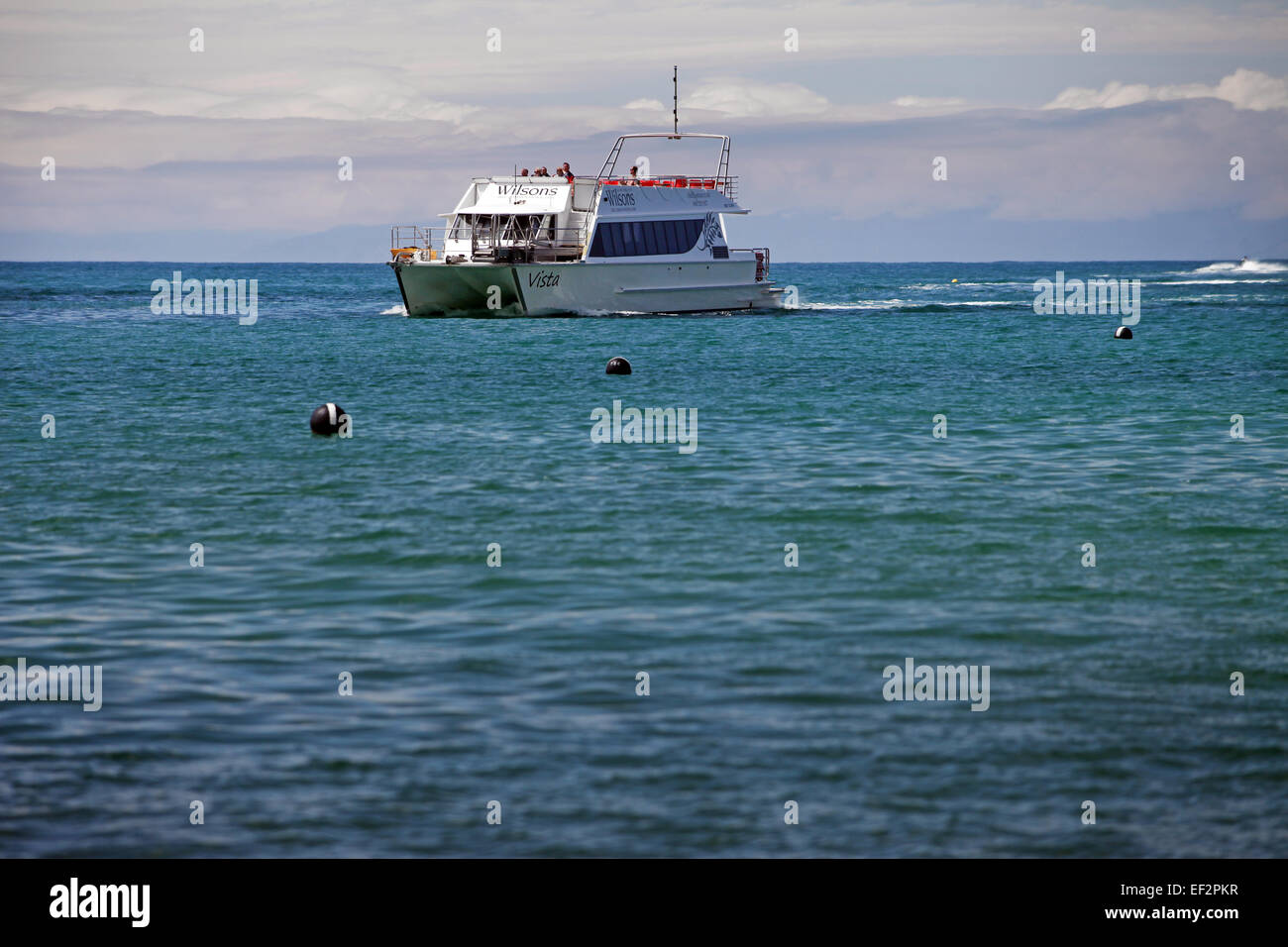 Wilsons Schiff Vista Ankunft in Kaiteriteri, Nelson, Neuseeland Stockfoto