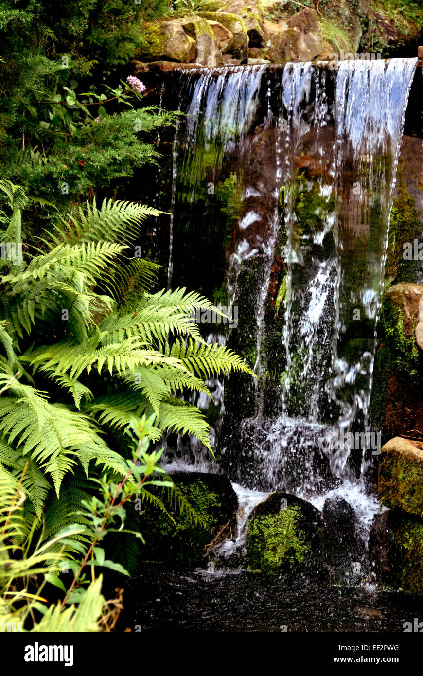 Wasserfall auf einer Höhe von Abraham Stockfoto