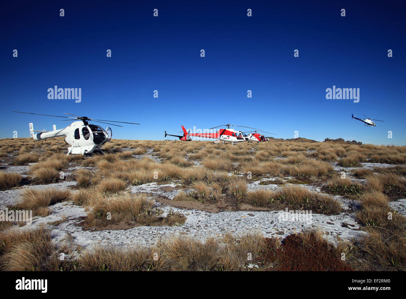 Hubschrauber abheben von der Spitze des Mount Starveall, Marlborough Stockfoto
