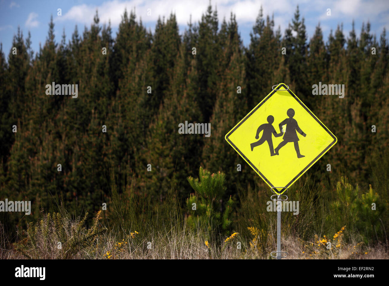 Kiefernwald mit Kindern überqueren Straßenschild Stockfoto