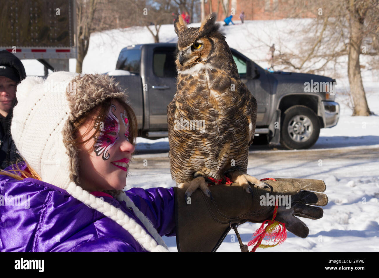 Große gehörnte Eule sitzt auf dem Arm eines jungen Mädchens im Winterfestival in Cannington Ontario Stockfoto