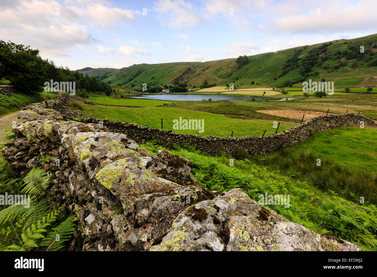 Trockenmauer an Watendlath, Lake District, Cumbria, UK Stockfoto