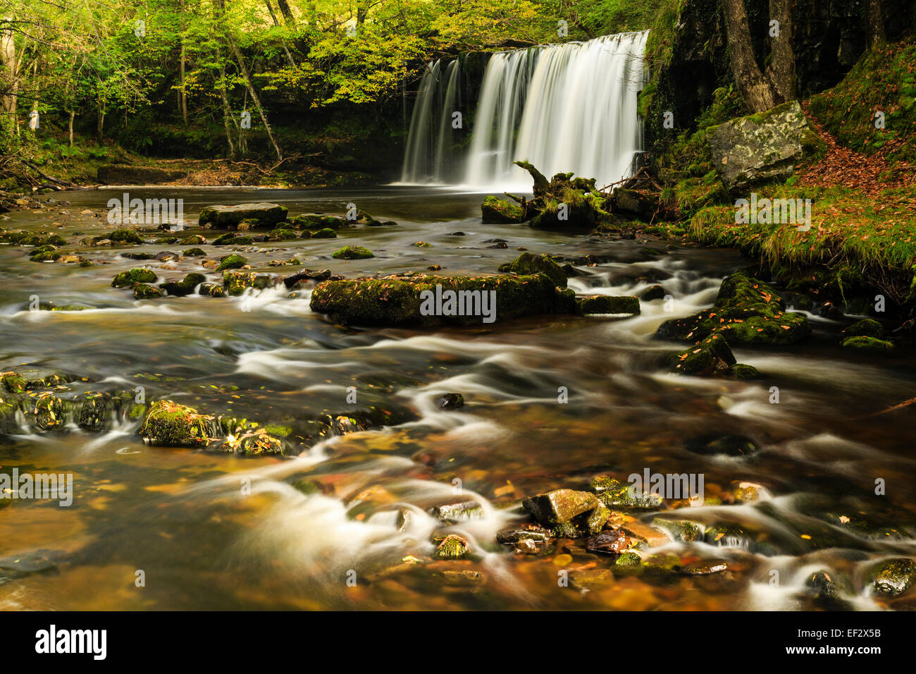 Wasserfall im Bereich Ystradfellte des Brecon Beacons, Wales Stockfoto