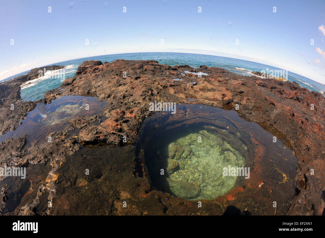 Gezeiten-Pools in der Nähe von Manele Bay, Lanai, Hawaii Stockfoto
