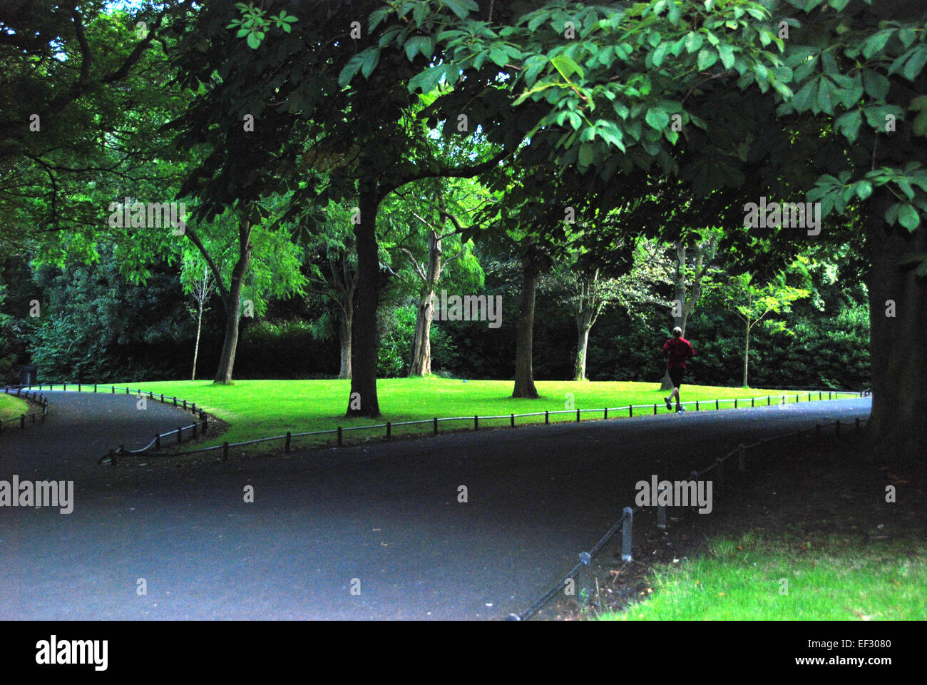 Läufer in St. Stephens Green Park Dublin Irland Stockfoto