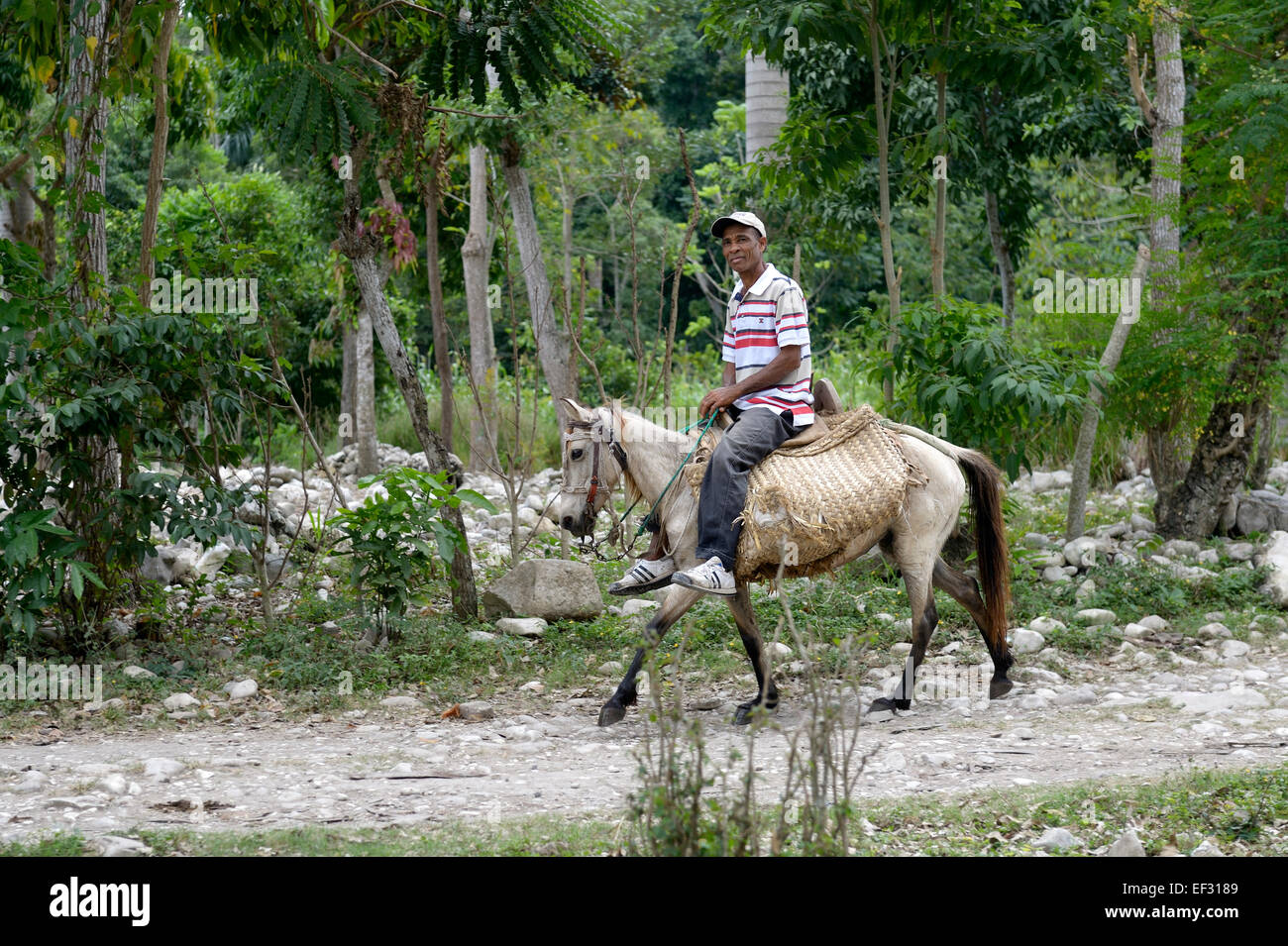 Mann auf dem Pferd, Côtes-de-Fer, Sud-Est-Abteilung, Haiti Stockfoto