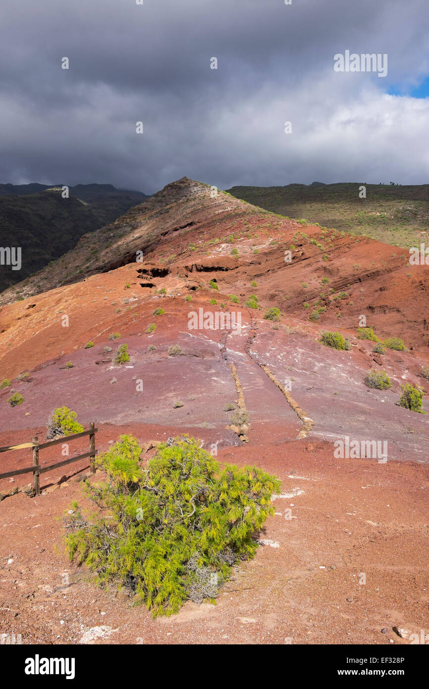 Sendero Quise, Wandern Wanderweg, Alajero, La Gomera, Kanarische Inseln, Spanien Stockfoto