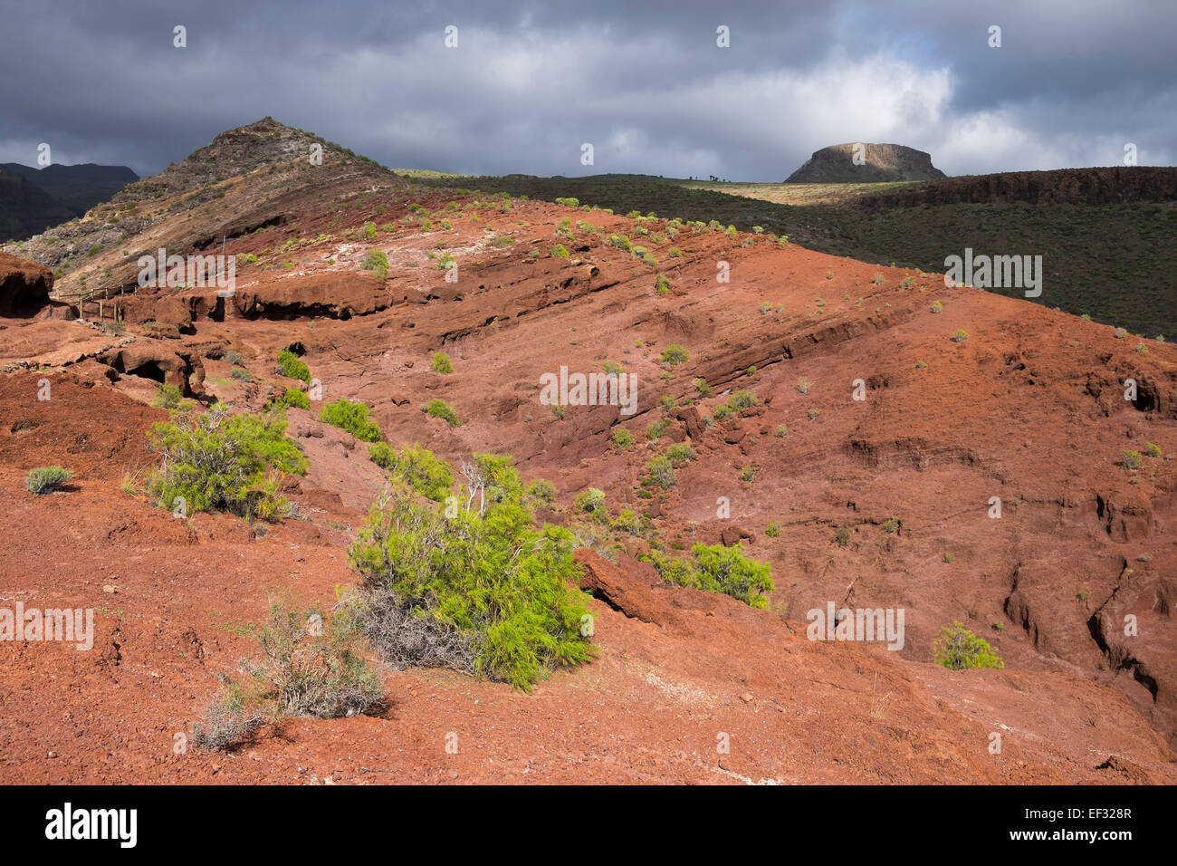 Roten vulkanischen Felsen am Wanderweg Sendero Quise, Alajero, La Gomera, Kanarische Inseln, Spanien Stockfoto