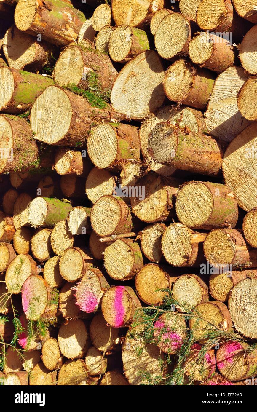 Gestapelte Holz, Fichte Protokolle, Bayern, Deutschland Stockfoto