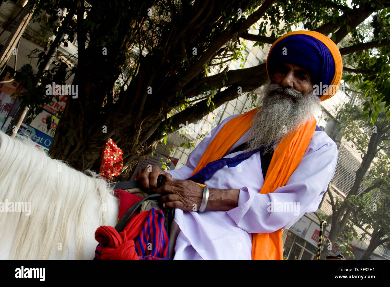 Neu-Delhi, Indien - 19. November 2011: Sikh Leute feiern Guru Nanak Geburt mit einer street Parade und Lebensmittel-Verteilung Stockfoto