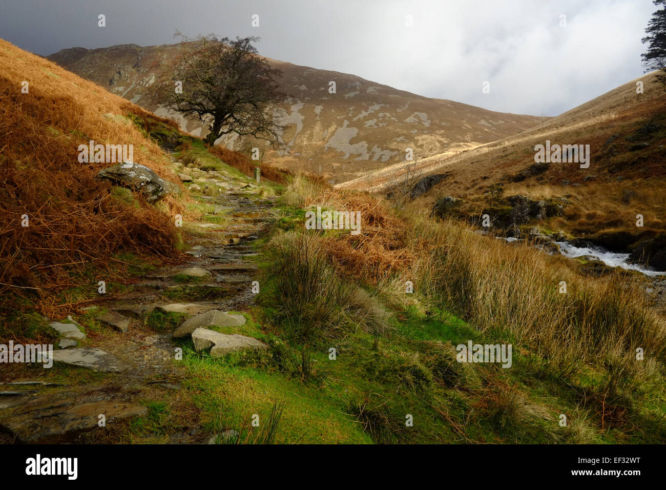 Im Winter geht es auf Cadair Idris Stockfoto