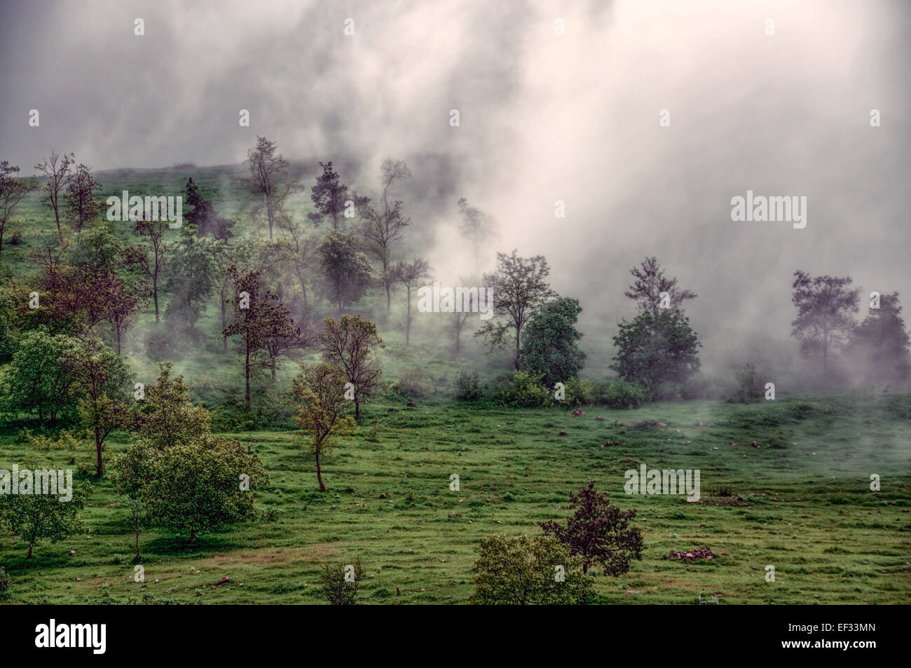 Dichter Nebel kriechen über die grüne Landschaft des bergigen Karabach Stockfoto