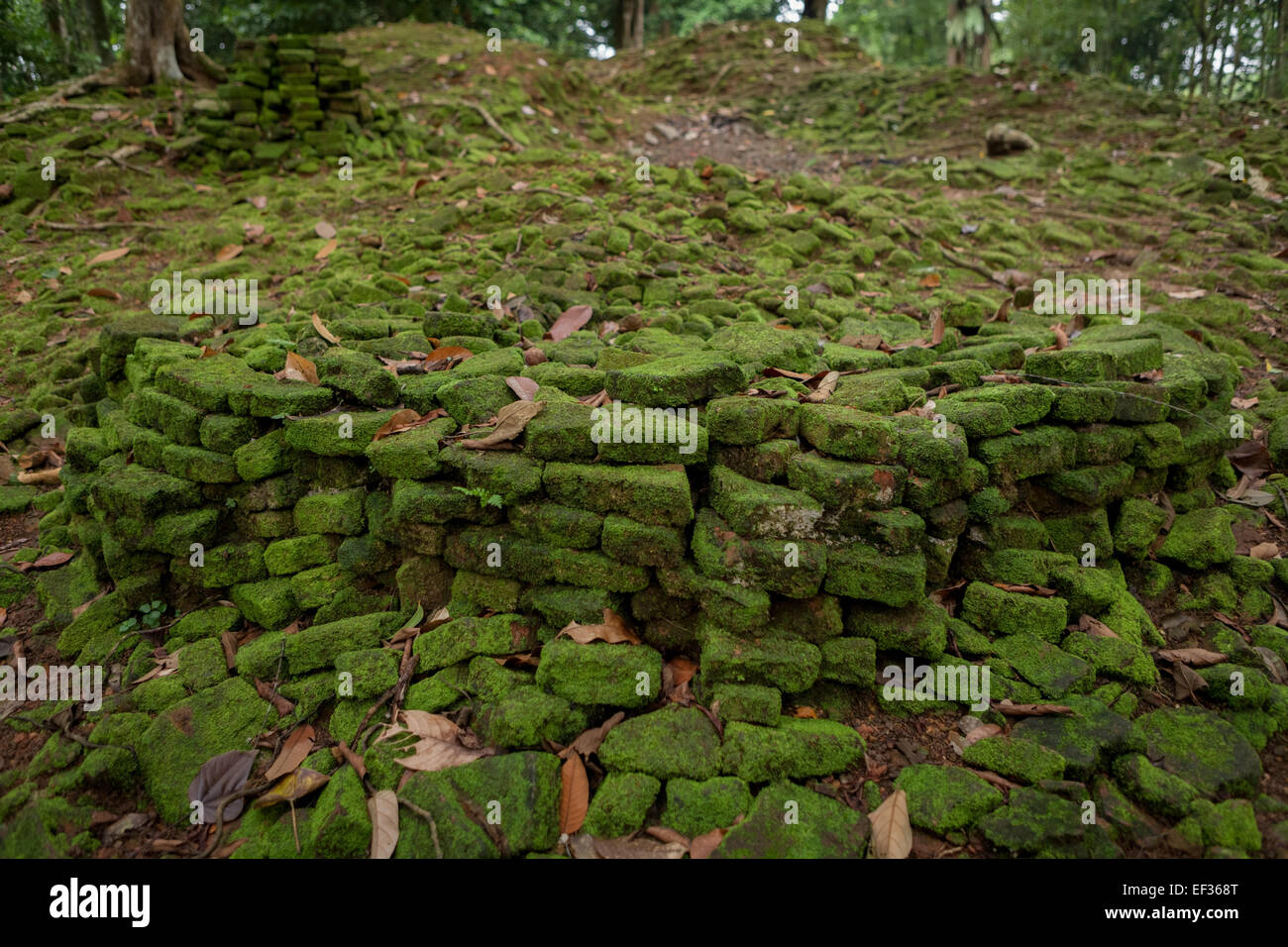 Ziegelsteine aus der Ruine einer alten Struktur am Candi Koto Mahrigai (Koto Mahrigai Tempel) in Muaro Jambi, Jambi, Indonesien. Stockfoto