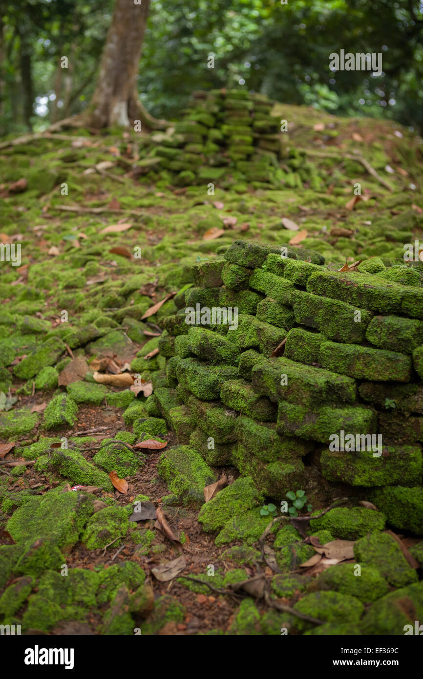 Ziegelsteine aus der Ruine einer alten Struktur am Candi Koto Mahrigai (Koto Mahrigai Tempel) in Muaro Jambi, Jambi, Indonesien. Stockfoto