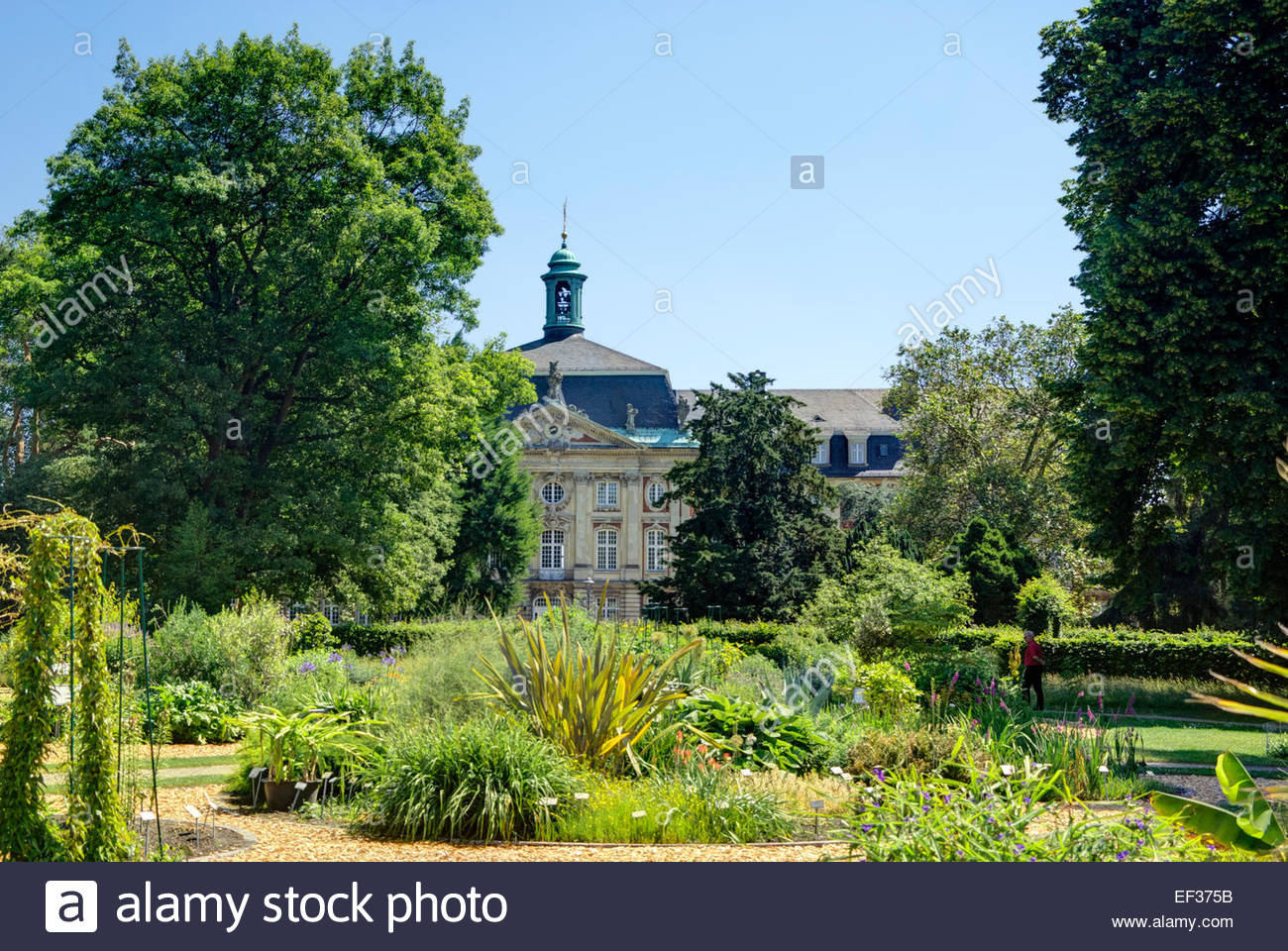 Ein Besucher Touren Der Botanische Garten Der Westfalischen Wilhelm Universitat Munster Deutschland Stockfotografie Alamy