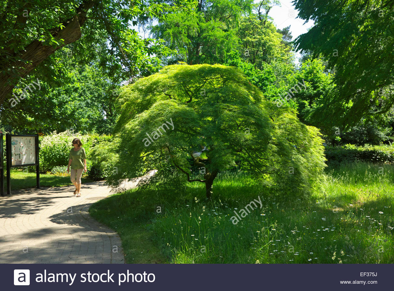 Besucher Der Botanische Garten Der Westfalischen Wilhelm