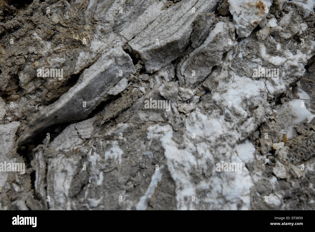 Gipsgestein, eine Art Sedimentgestein, die häufig in Regionen wie den Tiroler Alpen vorkommt und sich durch seine Mineralzusammensetzung auszeichnet Stockfoto