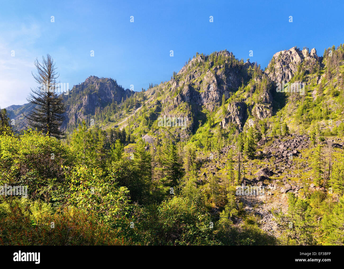 Berg-Wald-Landschaft. Östlichen Sayan. Die Republik Burjatien Stockfoto