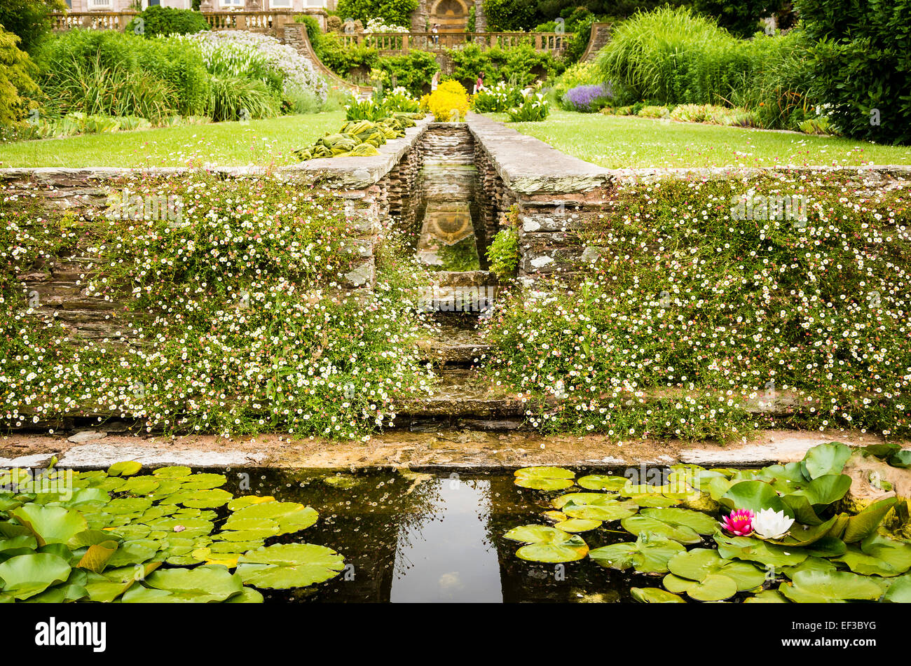 Lily Pool gespeist wird ein Bächlein laufen über den Rasen in Hestercombe Gardens UK Stockfoto