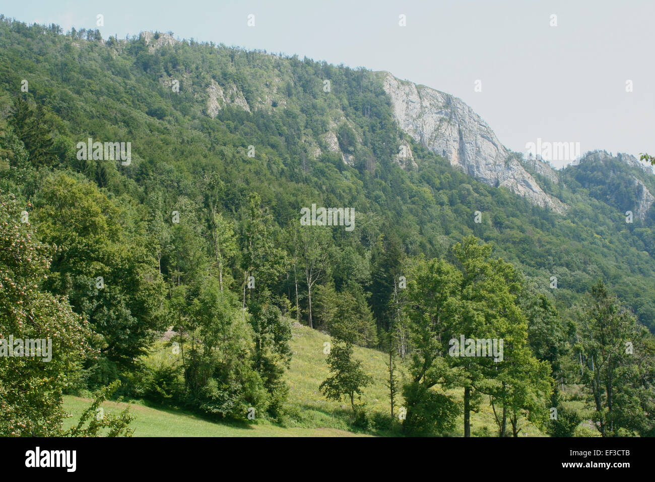 Schieferstein bezieht sich auf eine Art von Kunstwerk oder Architekturelement aus Schiefer oder Schiefer. Dieses Material, das für seine unterschiedlichen Schichten bekannt ist, wurde im Laufe der Geschichte sowohl in der Kunst als auch im Baugewerbe wegen seiner Haltbarkeit und ästhetischen Anziehungskraft verwendet. Stockfoto