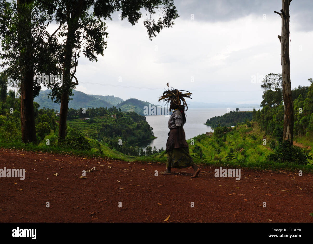 Eine Frau Brennholz auf dem Kopf balancieren Spaziergänge auf dem Feldweg entlang dem See Burera. Ruanda Stockfoto