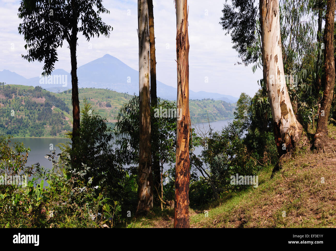 See Burera am Fuße des Berg Berg. Ruanda Stockfoto