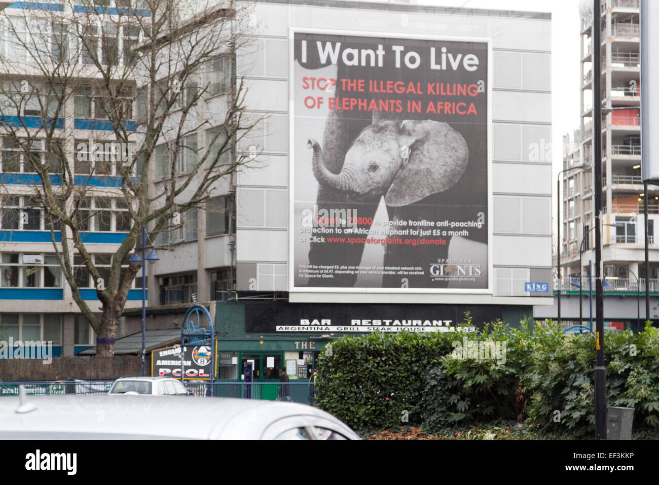 London, UK. 26. Januar 2015. Ein Plakat hängt an der Fassade eines Gebäudes auf London, die illegale Tötung von Elefanten in Afrika Credit hervorzuheben: Amer Ghazzal/Alamy Live-Nachrichten Stockfoto