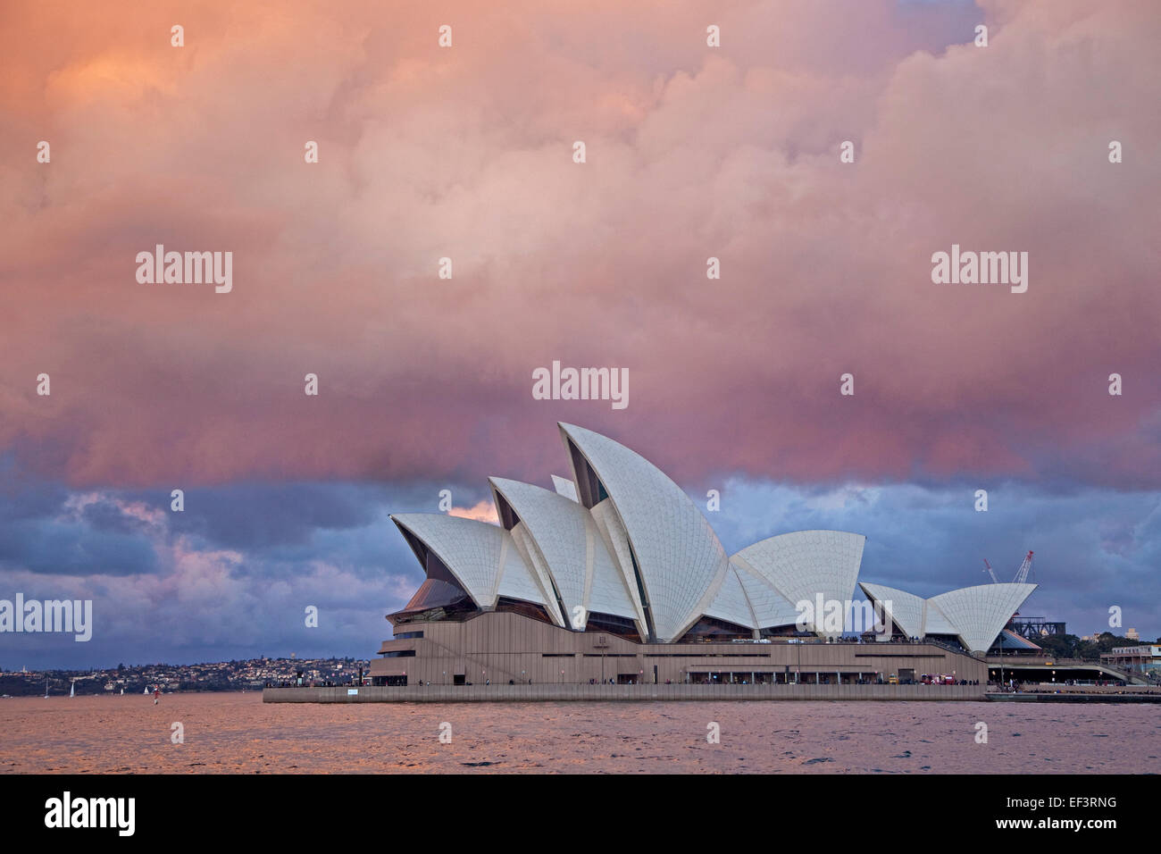 Schwere Regenwolken und nahenden Gewitter über das Opernhaus von Sydney bei Sonnenuntergang, New South Wales, Australia Stockfoto