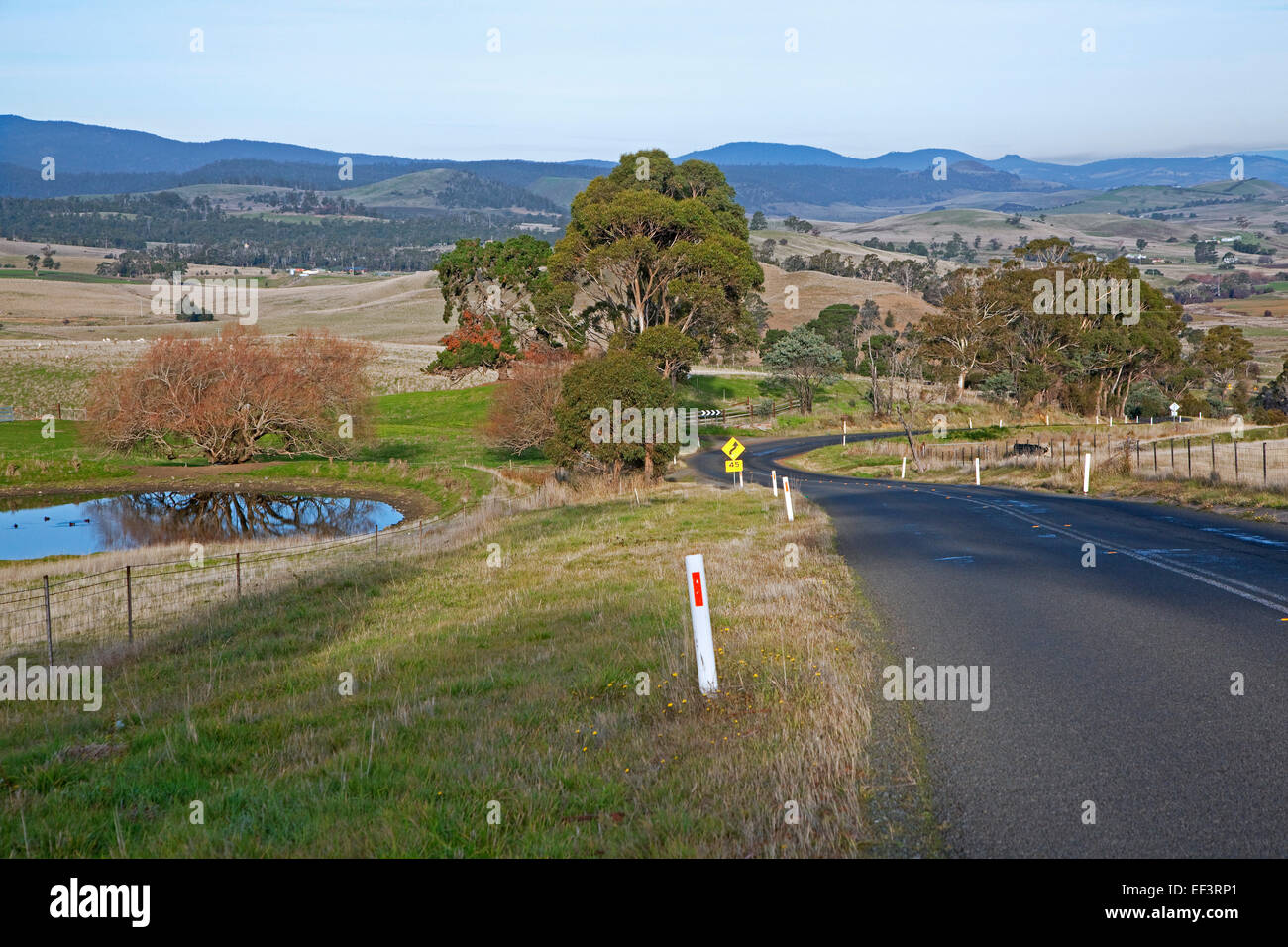 Kurvenreiche Straße in einer ländlichen Gegend zwischen Hobart und Oatlands, Tasmanien, Australien Stockfoto